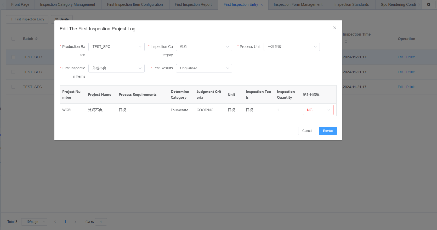 First Inspection Entry with Enum Items Screenshot