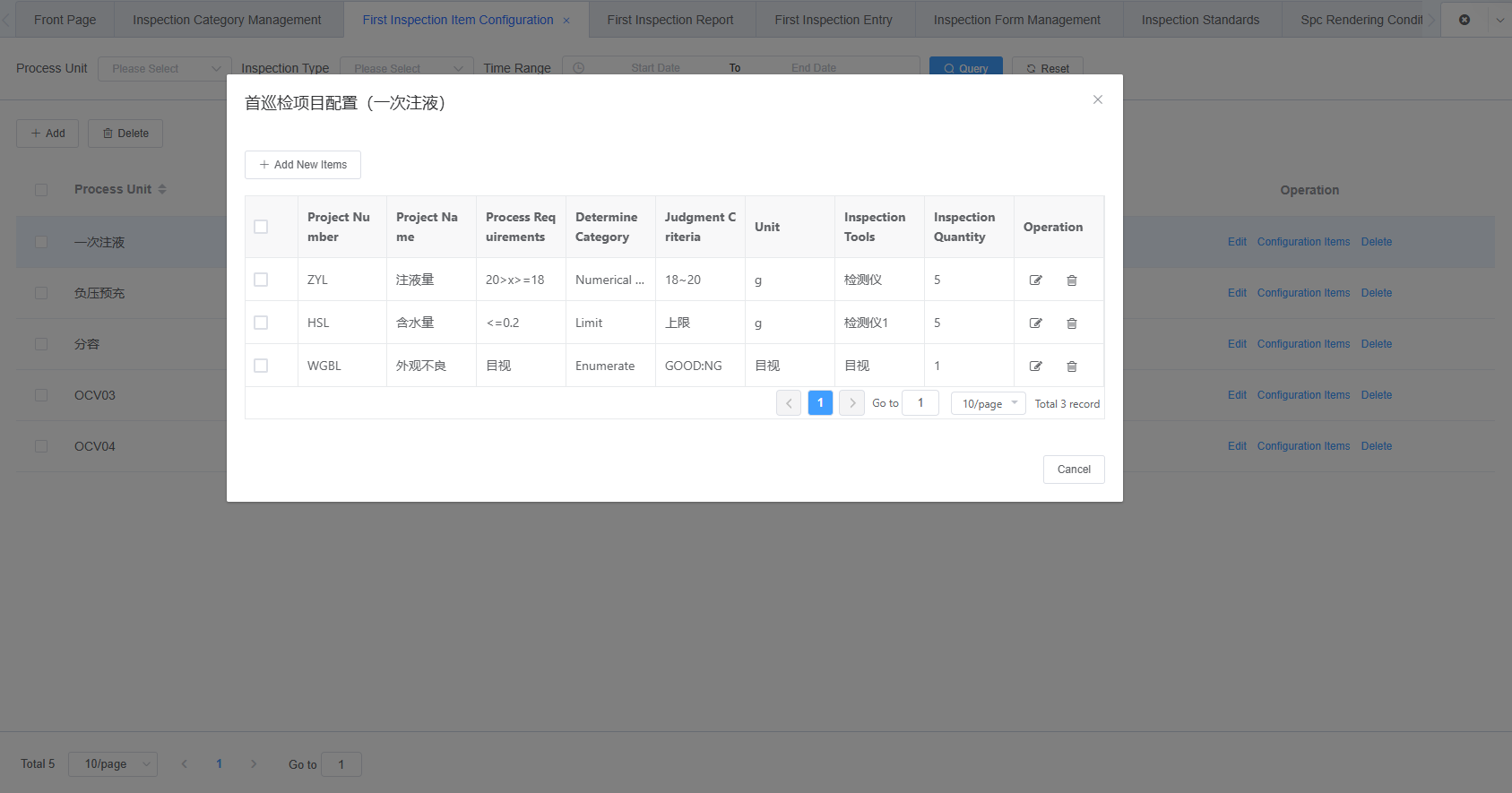 First Inspection Item Configuration Details Screenshot