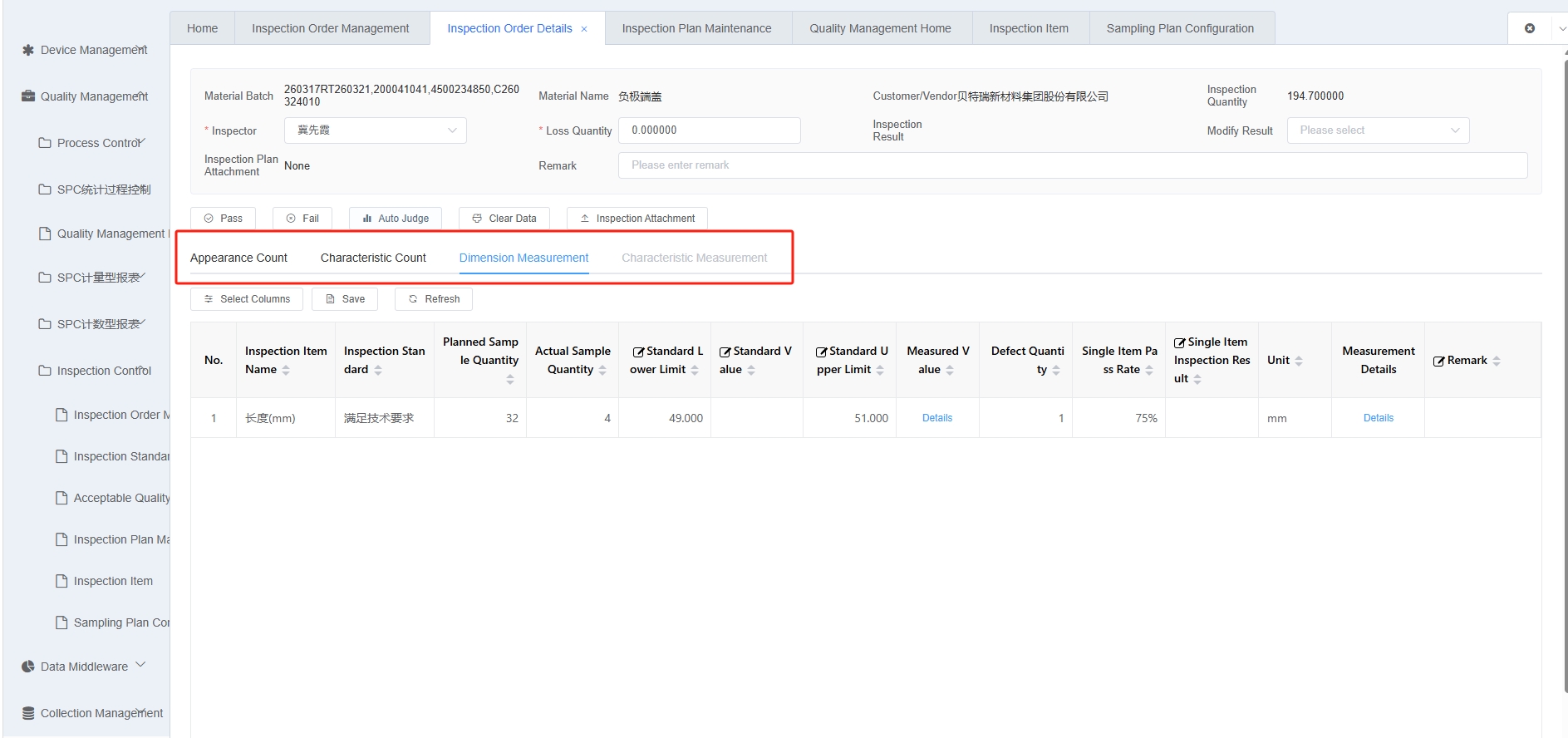 Measured Details Dialog Screenshot